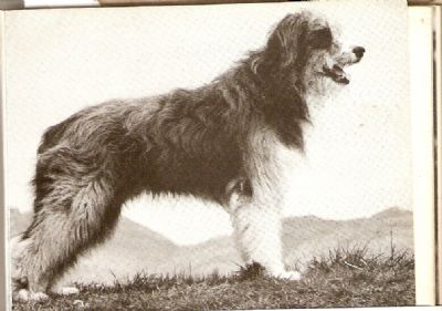 scan0095.jpg