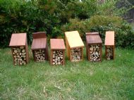 Get the bug this Christmas