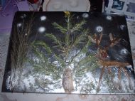 Newker Primary children value nature