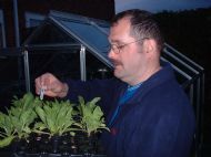 Real Food and how it's grown