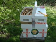 Bees for Biodiversity