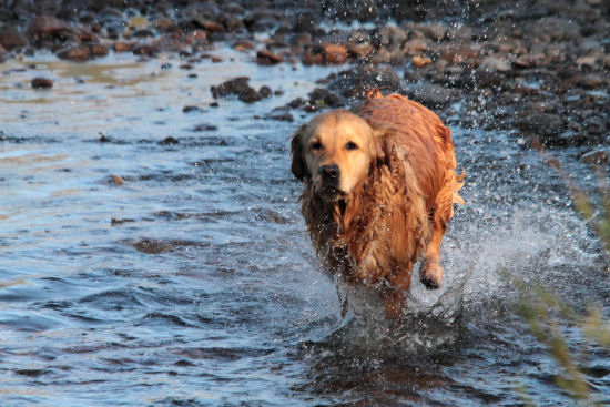 Running - Chariots of Fire!